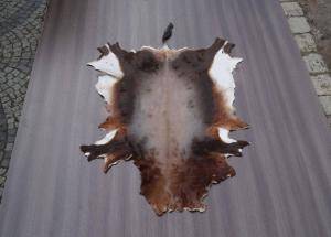 Saueskinn - Skinn fra Afrika - beauty-african-skins-adam-leather