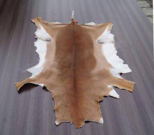 Saueskinn - Skinn fra Afrika - cool-african-skins-adam-leather-eco