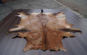 Saueskinn - Skinn fra Afrika - delightful-african-skins-adam-leather