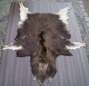 Saueskinn - Skinn fra Afrika - engaging-african-skins-adam-leather