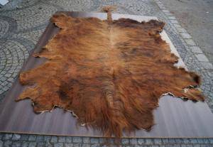 Saueskinn - Skinn fra Afrika - fantastic-african-skins-adam-leather-tannery-poland