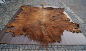 Saueskinn - Skinn fra Afrika - glorious-african-skins-adam-leather-eco
