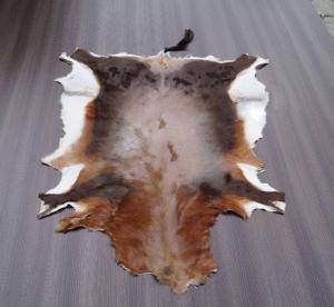 Saueskinn - Skinn fra Afrika - goodly-african-skins-adam-leather
