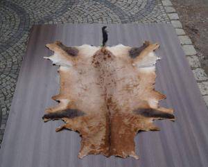 Saueskinn - Skinn fra Afrika - gorgeous-african-skins-adam-leather