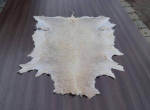 Saueskinn - Skinn fra Afrika - great-african-skins-adam-lather-eco
