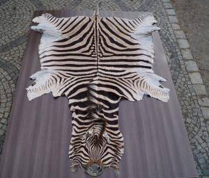 Saueskinn - Skinn fra Afrika - great-african-skins-adam-leather