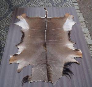 Saueskinn - Skinn fra Afrika - grey-african-skins-adam-leather