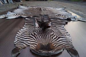 Saueskinn - Skinn fra Afrika - heavenly-african-skins-adam-leather-eco