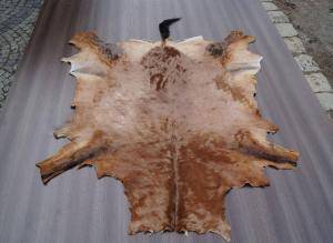 Saueskinn - Skinn fra Afrika - heavenly-african-skins-adam-leather