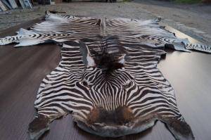 Saueskinn - Skinn fra Afrika - heavenly-african-skins6climage1920x1080-100