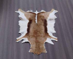 Saueskinn - Skinn fra Afrika - lovely-african-skins-adam-leather-eco