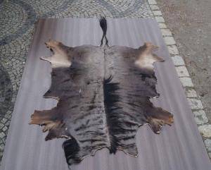 Saueskinn - Skinn fra Afrika - magical-african-skins-adam-leather