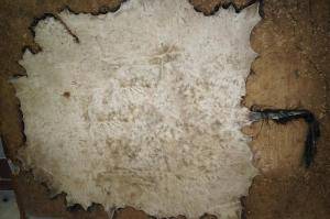Saueskinn - Skinn fra Afrika - magnificent-african-skins-adam-leather