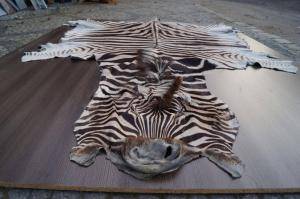 Saueskinn - Skinn fra Afrika - magnificent-african-skins-eco-adam-leather