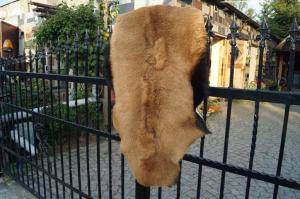 Saueskinn - Geiteskinn - magnificent-goat-skins-adam-leather