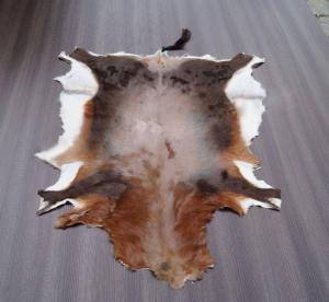 Saueskinn - Skinn fra Afrika - natural-african-skins-adam-leather