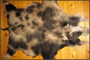 Saueskinn - Villsvinskinn - natural-boar-skins-adam-leather
