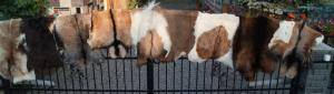 Saueskinn - Geiteskinn - pleasing-goat-skins-adam-leather