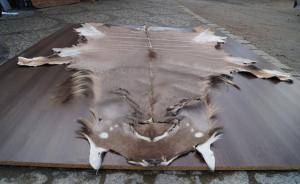 Saueskinn - Skinn fra Afrika - pretty-african-skins-adam-leather