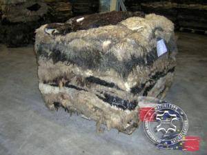 Saueskinn - Rå huder, saltet saueskinn - raw-hides-adam-leather-sheepskins