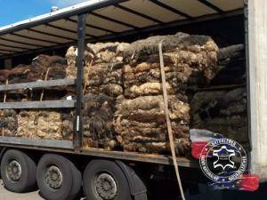Saueskinn - Rå huder, saltet saueskinn - raw-hides-eco-sheepskin-adam-leather