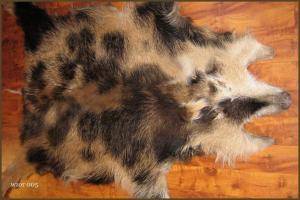 Saueskinn - Villsvinskinn - superb-boar-skins-adam-leather