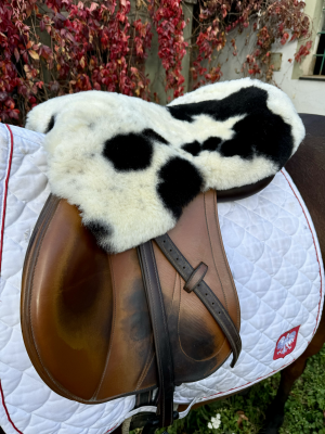 Saueskinn - Saddle Covers for Ryttere - tempimagejoijez