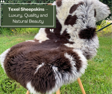 Saueskinn - Texel saueskinn – Luksus, kvalitet og naturlig skjønnhet
