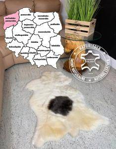 Saueskinn - Naturlige saueskinn Szczecin, Vest-Pommerns voivodskap, Polen
