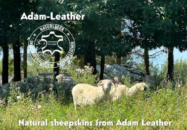 Saueskinn - Siestaen er i full gang! saueskinn! Laget av naturen - Laget av Adam Leather!