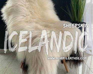 Saueskinn - ISLAND SAUSKINN