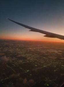 Saueskinn -  Flyr i skyene til Miami