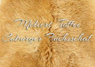 Saueskinn - Meliert  Toffee - Coburg revsauen