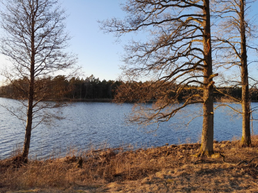 Saueskinn - Vi skal på forretningsreise til kunder fra Sverige!