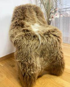 Saueskinn - Våre vakre nederlandske saueskinn