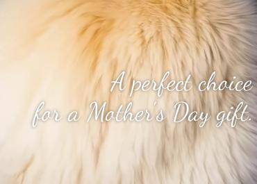 Saueskinn - Natuurlijke schapenvacht is een perfecte keuze voor een Moederdagcadeau.