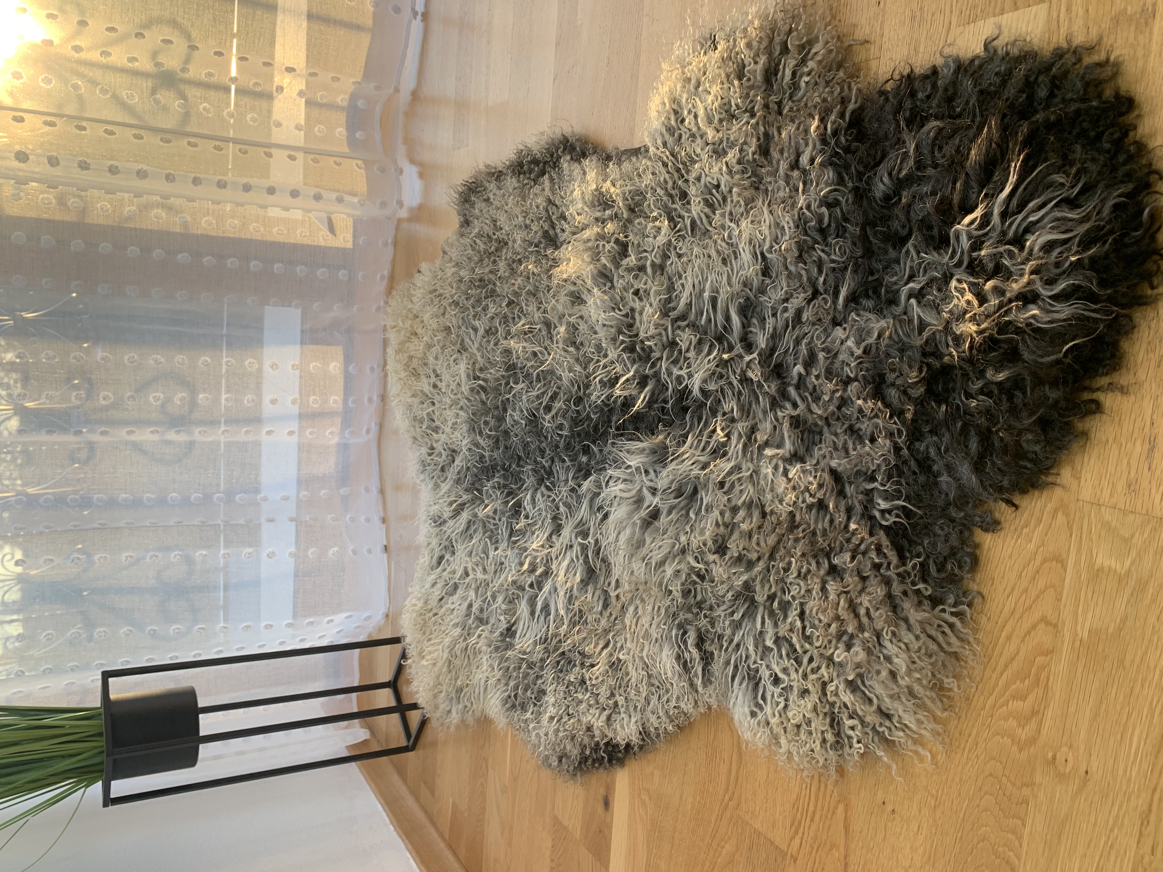 Saueskinn - Saueskinn Gotland Adam Leather 