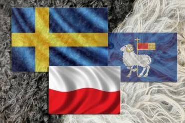 Saueskinn - Organisk soling Gotland saueskinn fra Visby! Unn deg luksuriøst elegant saueskinn fra Gotland!