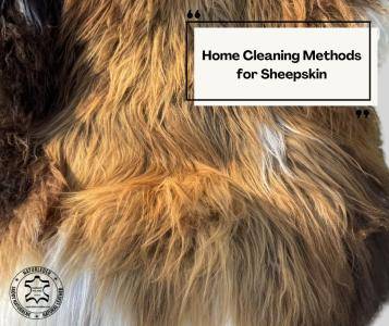 Saueskinn - Hjemmerengjøringsmetoder for saueskinn