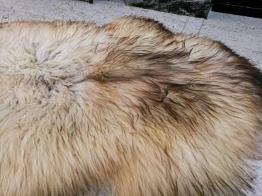 Saueskinn - Varmt og behagelig - naturlige Melarade saueskinn