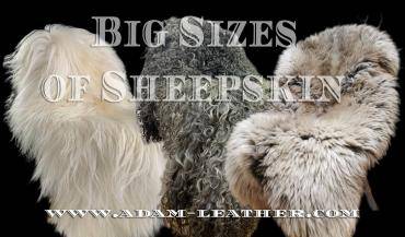 Saueskinn - Store størrelser saueskinnsteppe, sengeteppe, teppe, naturlige farger, naturlige saueskinn, XXL str.