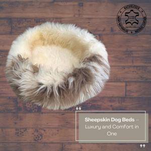 Saueskinn - Hundesenger av saueskinn – Luksus og komfort i ett