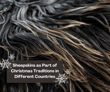 Saueskinn - Sauefeller som en del av juletradisjoner i forskjellige land
