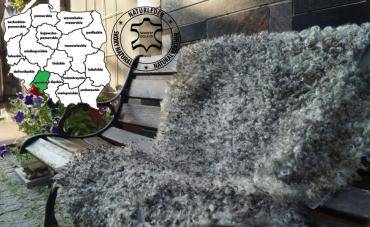 Saueskinn - Vakre luftige saueskinn - garveri, Opole Voivodeship - Polen