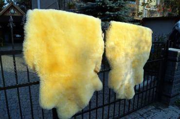 Saueskinn - Relugan medisinske saueskinn Adam-Leather