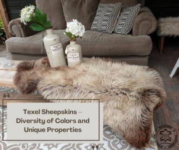Saueskinn - Texelfell – Fargevariasjoner og unike egenskaper