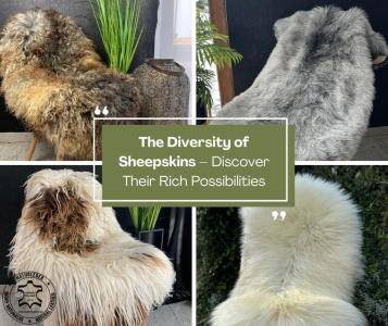 Saueskinn - Mangfoldet av saueskinn – oppdag deres mange bruksområder