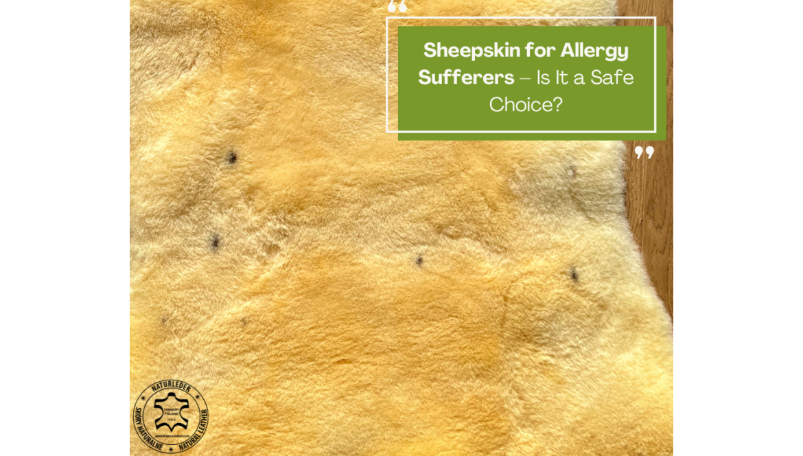 Saueskinn for allergikere – Er det et trygt valg?