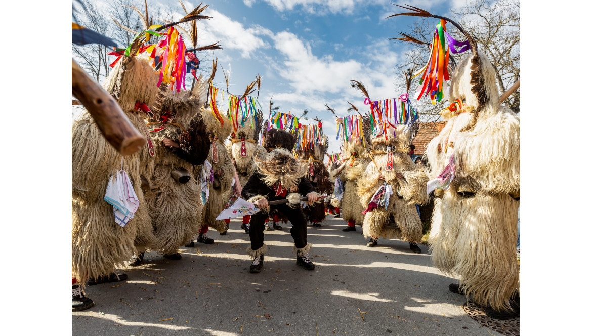 Langhårede saueskinn til kostymer - "Kurentovanje" festival